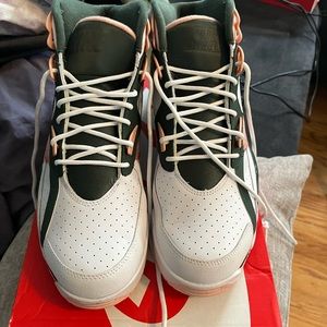 Air Trainer SC size 11.5